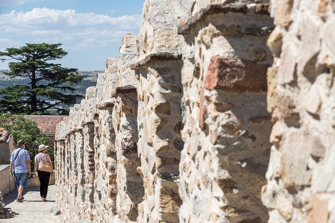 Avila with Walls and Segovia with Alcazar from Madrid - Walking Pace, Group Size, and Language Mix: Manage Your Expectations