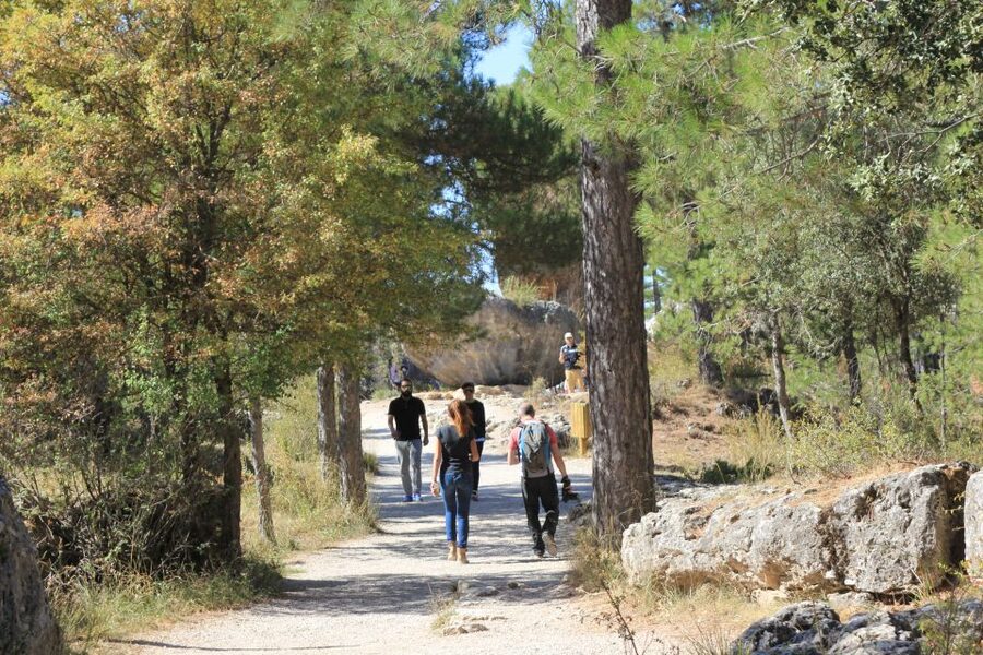 Cuenca: Enchanted City and Devil's Window - Vultures overhead: how to watch raptors like a pro
