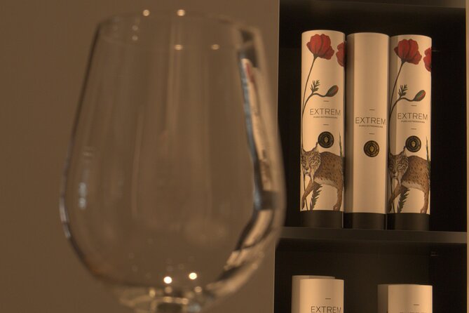 Cured Meats Gourmet Tasting with Wine Pairing in Madrid - Entering the world of Spanish cured meats, fast and friendly