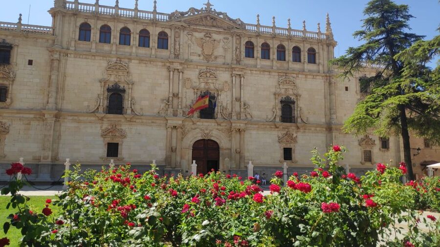 From Madrid: Alcalá de Henares & Cervantes Museum Day Trip - University of Alcalá, old-school academic halls and Cardinal Cisneros