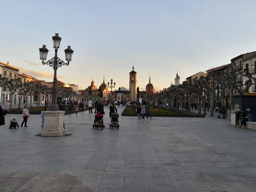 From Madrid: Alcalá de Henares, Winery Tour & Wine Tasting - Why Alcalá de Henares plus a winery makes a smart Madrid day