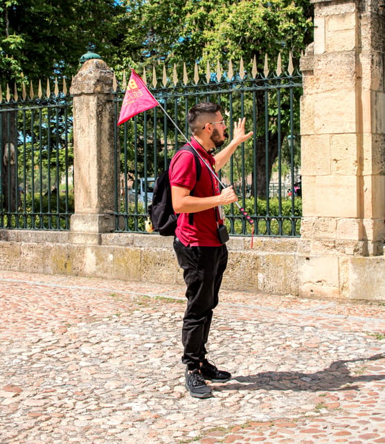 From Madrid: Ávila and Segovia Guided Day Trip - Alcázar of Segovia: The Royal Castle Moment You Can Add