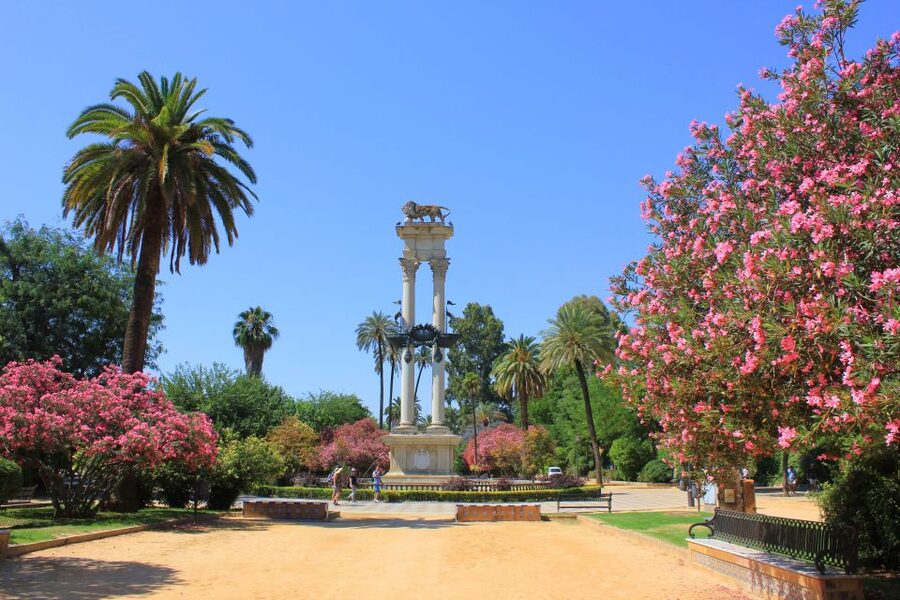 From Madrid: Best of Sevilla Day Tour with Train Transfers - Who this day tour fits best