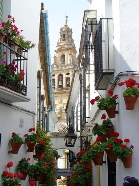 From Madrid: Cordoba and Mosque Day Trip by High-Speed Train - Morning logistics at Estación de tren Madrid Atocha