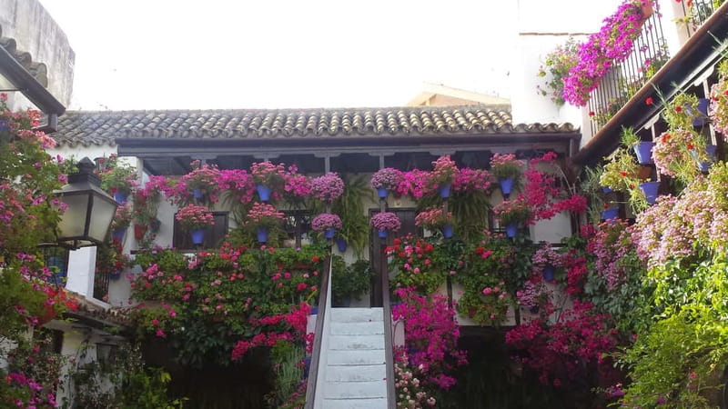 From Madrid: Cordoba and Mosque Day Trip by High-Speed Train - Return train to Madrid and keeping the day from feeling rushed