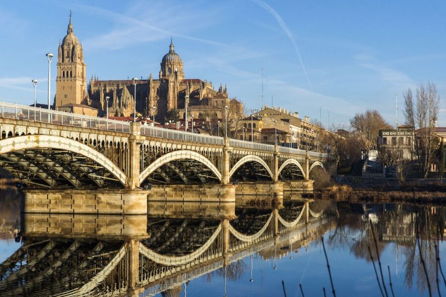 From Madrid: Day Trip to Ávila and Salamanca w/ Guided Tour - Salamanca’s Plaza Mayor and Cathedral: Baroque Meets University Energy