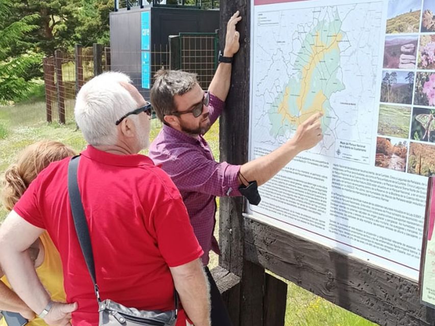 From Madrid: Day Trip to Guadarrama National Park - Key Reasons This Guadarrama Trip Works So Well