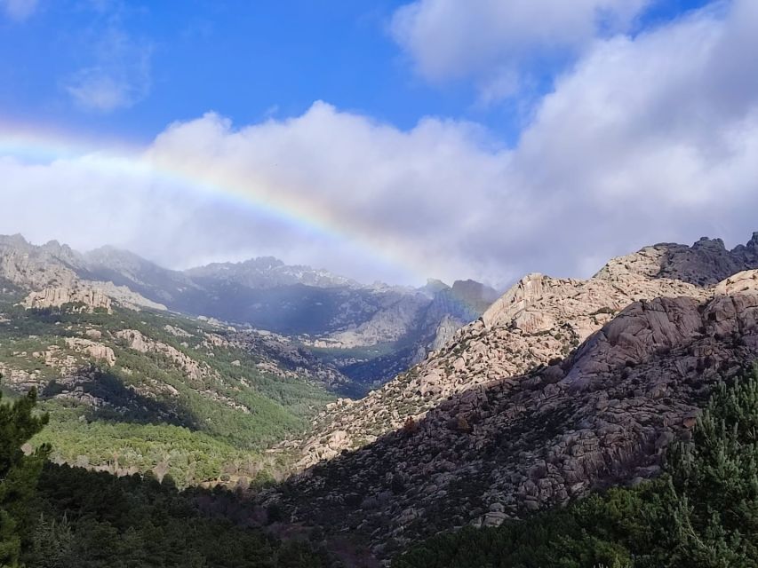 From Madrid: Day Trip to Guadarrama National Park - From Plaza de España to Guadarrama: A Quick Change in World