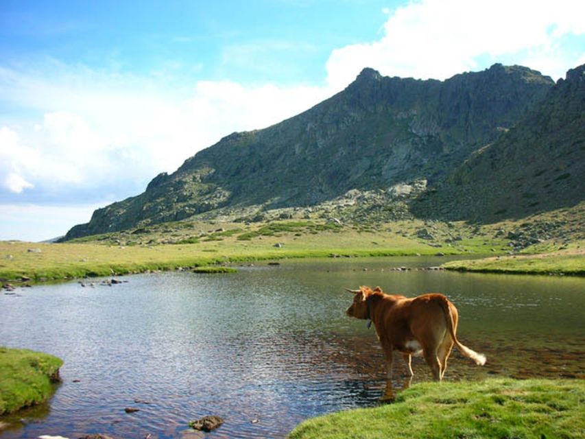 From Madrid: Day Trip to Guadarrama National Park - La Pedriza Guided Tour: The Park Time That Makes It Worth It
