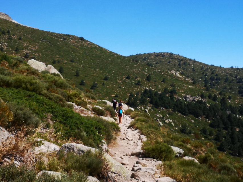 From Madrid: Day Trip to Guadarrama National Park - Lunch in Navacerrada: Where You’ll Recharge Before the Viewpoints