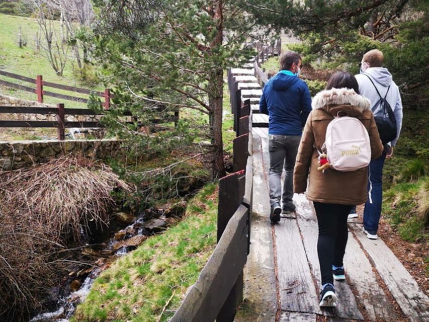 From Madrid: Day Trip to Guadarrama National Park - What You Can Learn and Spot: Wildlife, Plants, and Ecosystems