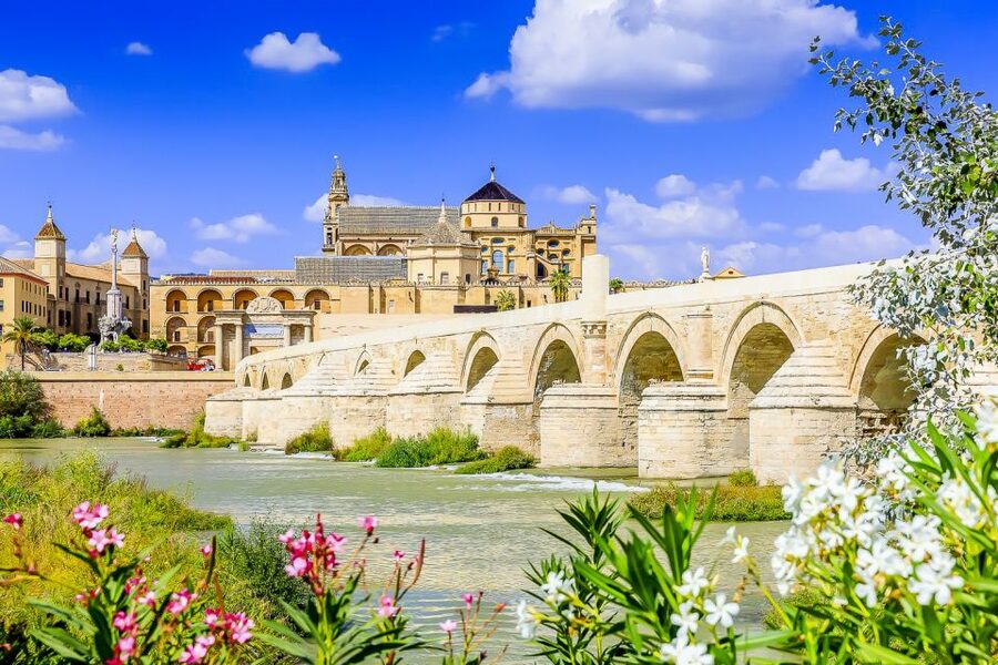 From Madrid: Discover the Best of Andalusia, 4 Nights - Granada on your own: neighborhoods like El Albaicín
