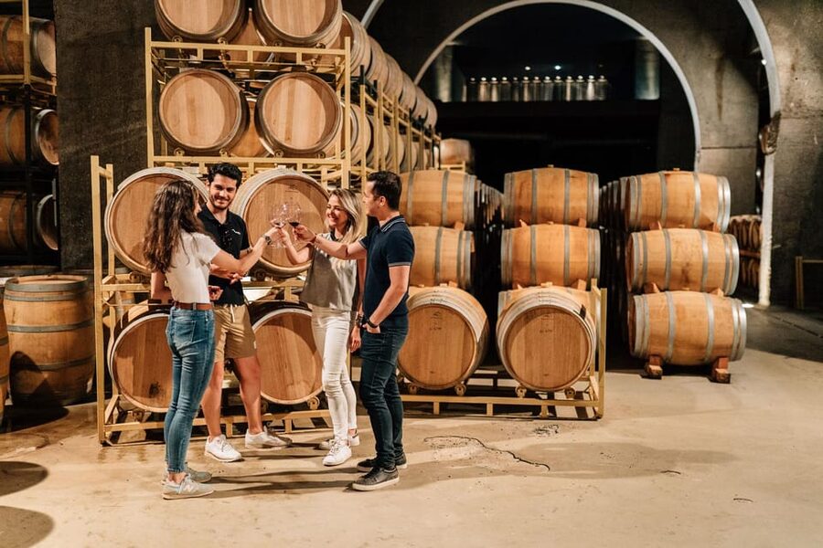 From Madrid: Ribera del Duero Winery and Segovia Tour - Key highlights you will actually feel during the day