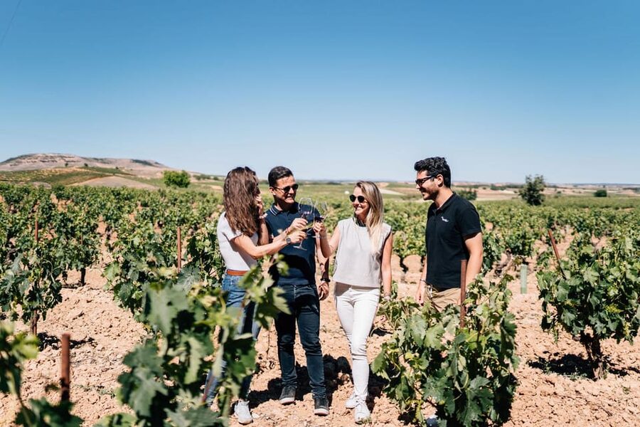 From Madrid: Ribera del Duero Winery and Segovia Tour - Wine tasting of three premium wines with local snacks