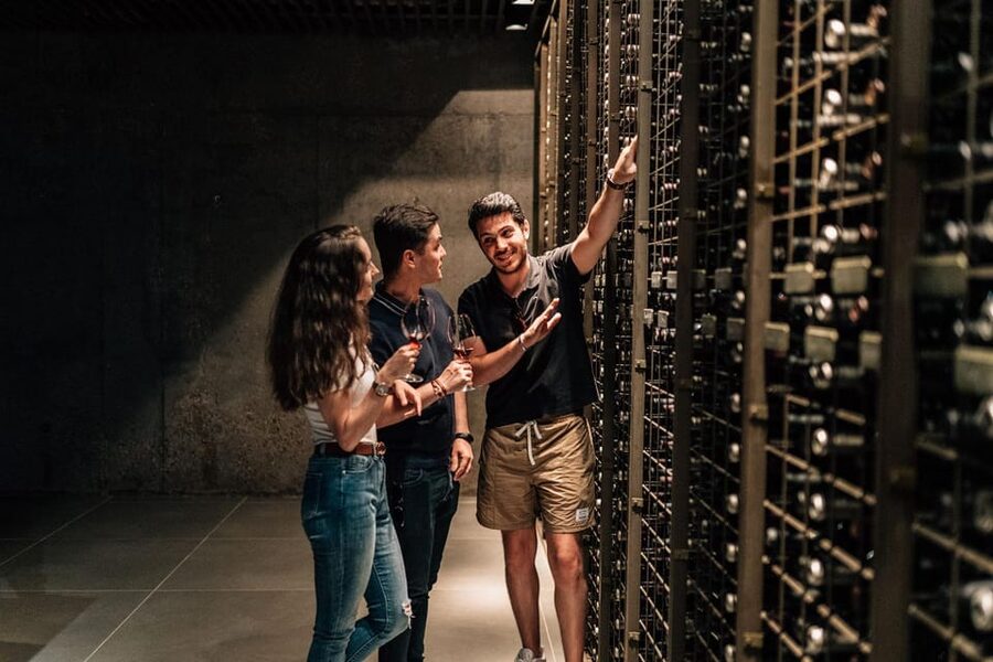 From Madrid: Ribera del Duero Winery and Segovia Tour - Price at about $261 per person, is it good value?