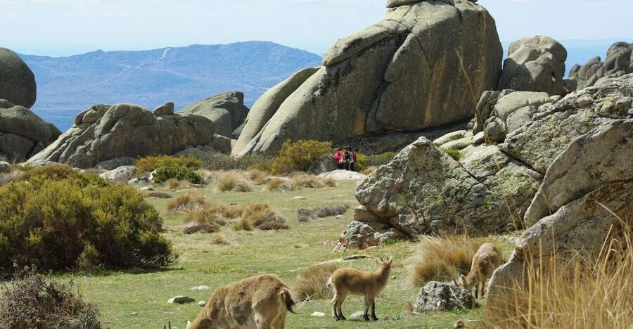 From Madrid: Sierra de Guadarrama Hiking Day Trip - Why a professional hiker changes the whole day