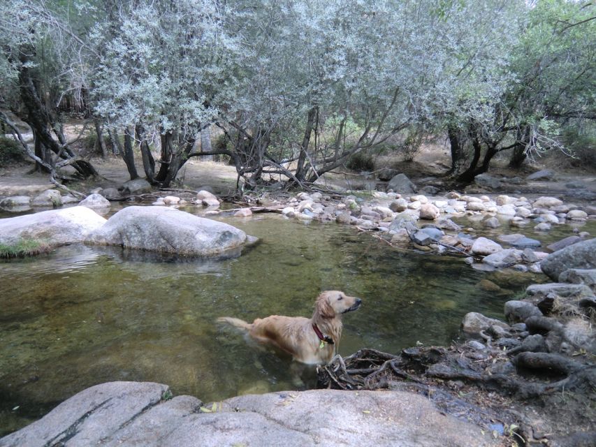From Madrid: Sierra de Guadarrama Hiking Day Trip - What you might see in the park, beyond the first big view