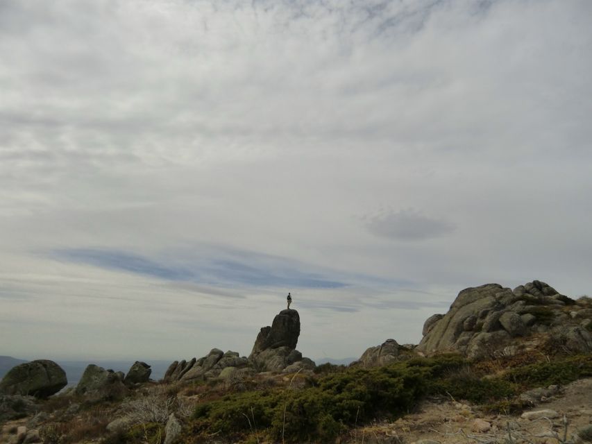 From Madrid: Sierra de Guadarrama Hiking Day Trip - The 4-hour hiking block, what that means for your energy and expectations
