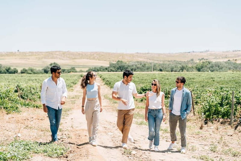 From Madrid: Toledo City Tour and Wine Tasting Experience - Price and value: what you get for about $100