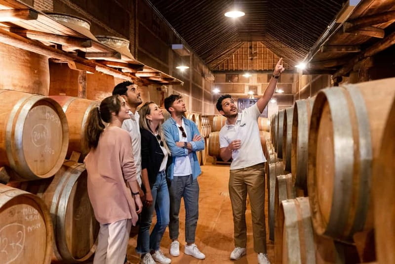 From Madrid: Toledo City Tour and Wine Tasting Experience - The guided morning walk in Toledo: where the stories land