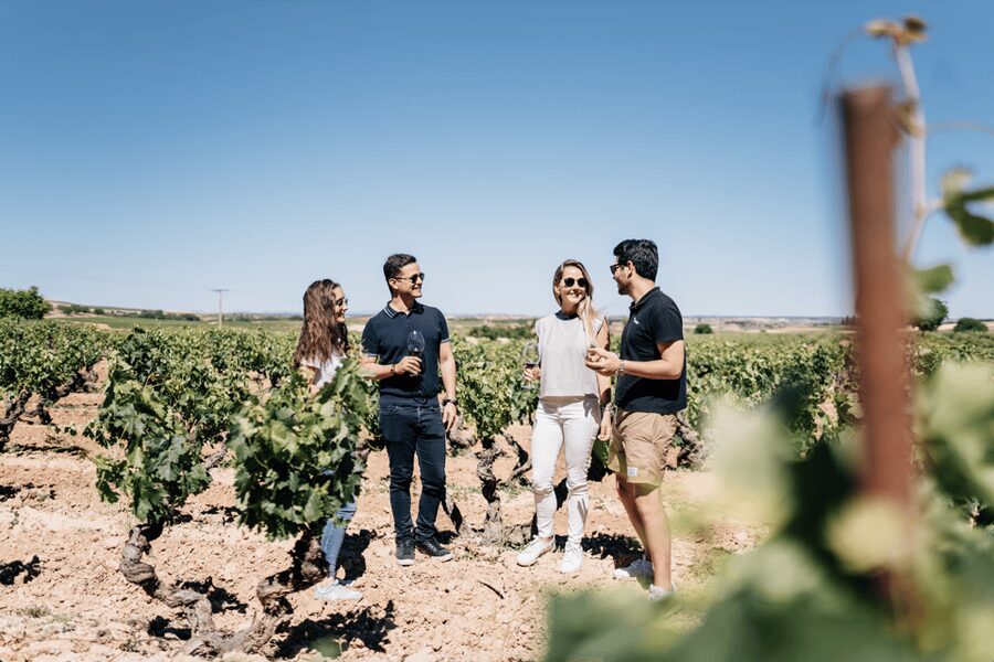 From Madrid: Traditional Villages, Winery Tour & Tapas Lunch - Boutique wine country at Bodega Viñas de El Regajal