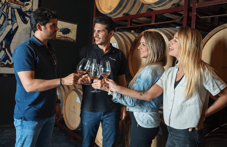 From Madrid: Traditional Villages, Winery Tour & Tapas Lunch - Wine tasting that actually teaches something