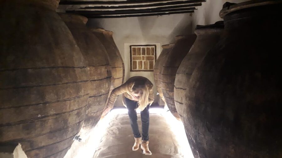 GUIDED VISIT TO BODEGA DEL NERO WINERY - Key points to know before you book