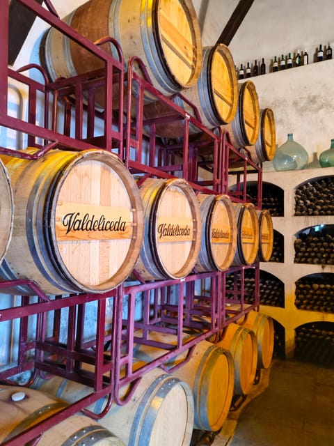 GUIDED VISIT TO BODEGA DEL NERO WINERY - Step into a working winery in a building over 150 years old