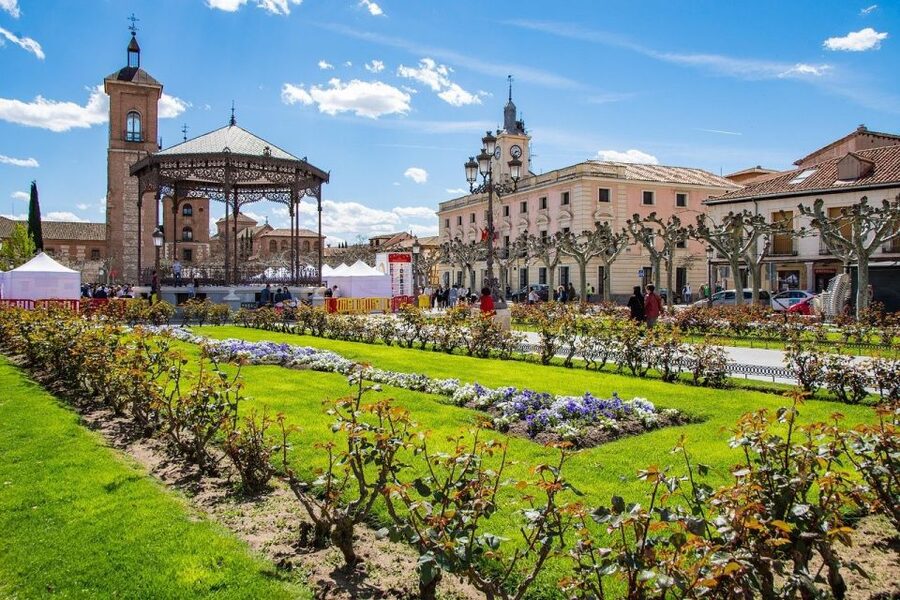 Half-Day Trip from Madrid: Alcalá de Henares & Winery Visit - Key things I’d prioritize on this half-day trip