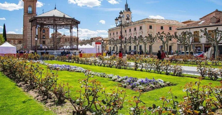 Half-Day Trip from Madrid: Alcalá de Henares & Winery Visit - Practical tips for a smoother day (and better photos)
