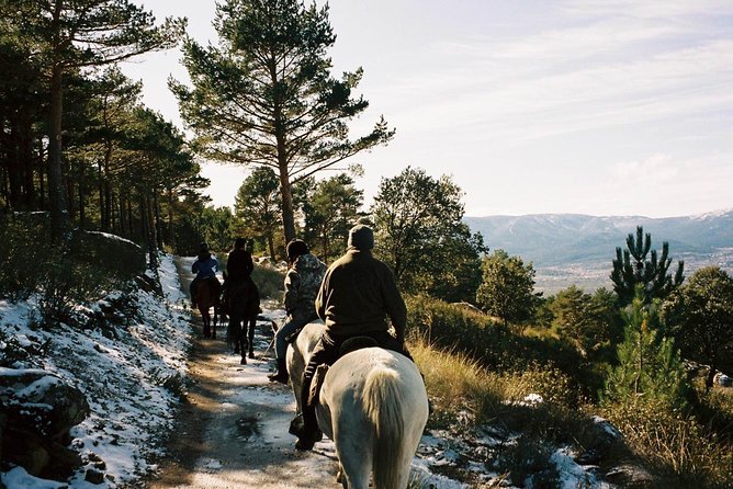 Horse Riding Madrid Natural Park - Quick highlights