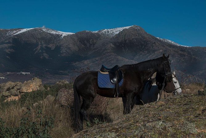 Horse Riding Madrid Natural Park - Riding Skills and Safety: Why Mariano’s Instructions Matter