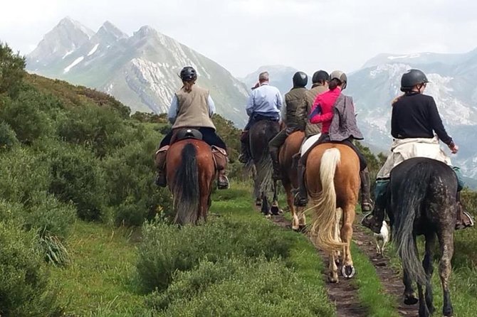 Horse Riding Madrid Natural Park (long Trip) - Key things to know before you go