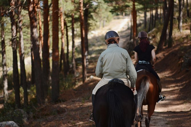 Horse Riding Madrid Natural Park (long Trip) - Step-by-step: how the horse ride fits your comfort level