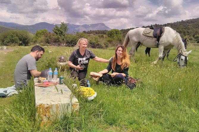 Horse Riding Madrid Natural Park (long Trip) - Horses, guides, and why small-group safety feels different