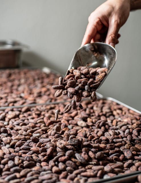 KAIACAO Bean to Bar and Design your own chocolate experience - Key highlights to know before you go