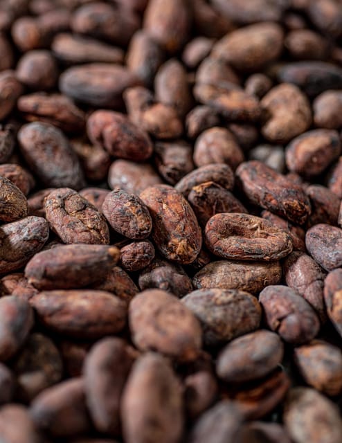 KAIACAO Bean to Bar and Design your own chocolate experience - A Bean-to-Bar Chocolate Factory Visit Right in Madrid