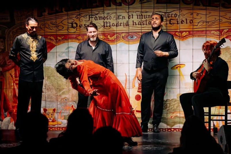 Madrid: Authentic Flamenco at Flamenco de Leones with drink - Who This Flamenco Night Is Best For