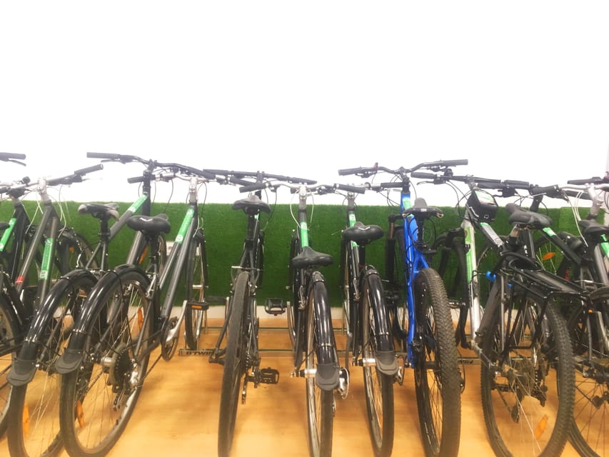 Madrid: bike rental - 3 hours on Madrid cycle lanes: the best way to pace yourself
