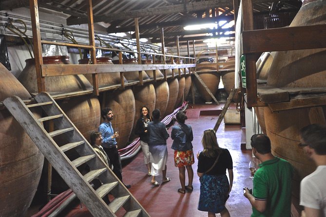 Madrid Countryside Wineries Guided Tour with Wine Tasting - Key things to know before you go