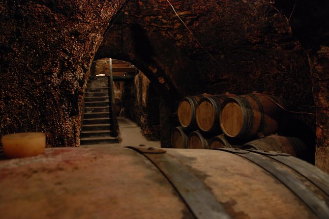Madrid Countryside Wineries Guided Tour with Wine Tasting - Stop 3, Bodega del Nero, River Vegas and 900 Years of Winemaking
