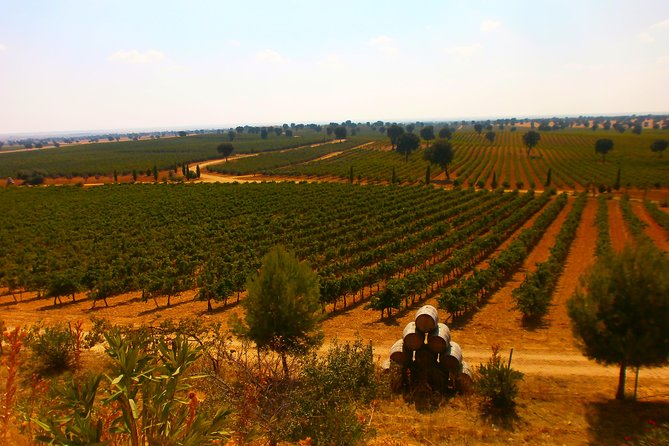 Madrid Countryside Wineries Guided Tour with Wine Tasting - Group Size, Comfort, and Pacing That Actually Feels Manageable