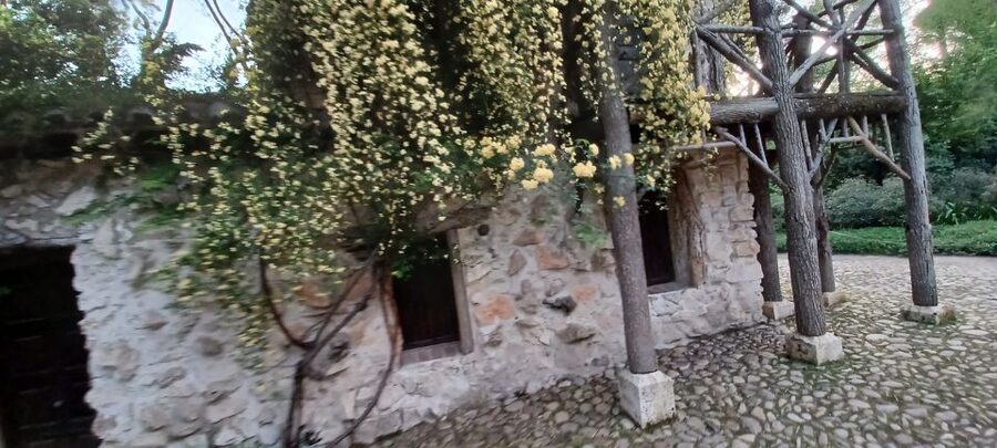 Madrid: El Capricho Park Tour - The Bee House and Honey Keeper Detail That Changes How You See the Park