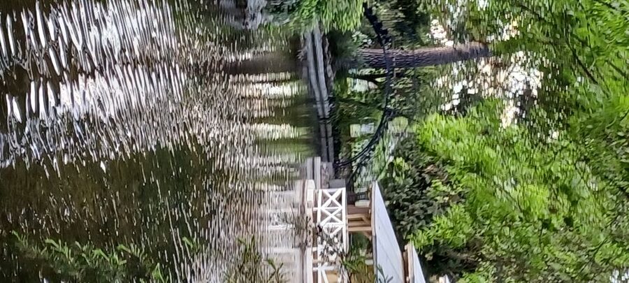 Madrid: El Capricho Park Tour - Why a Guide Like Rubén Makes It Worth the Walk