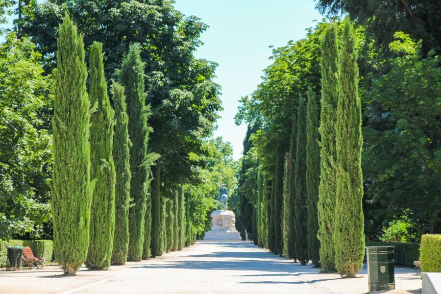 Madrid: El Retiro Park & City Sightseeing Audio Tour - How to Use the Audio App Well, Without Getting Frustrated