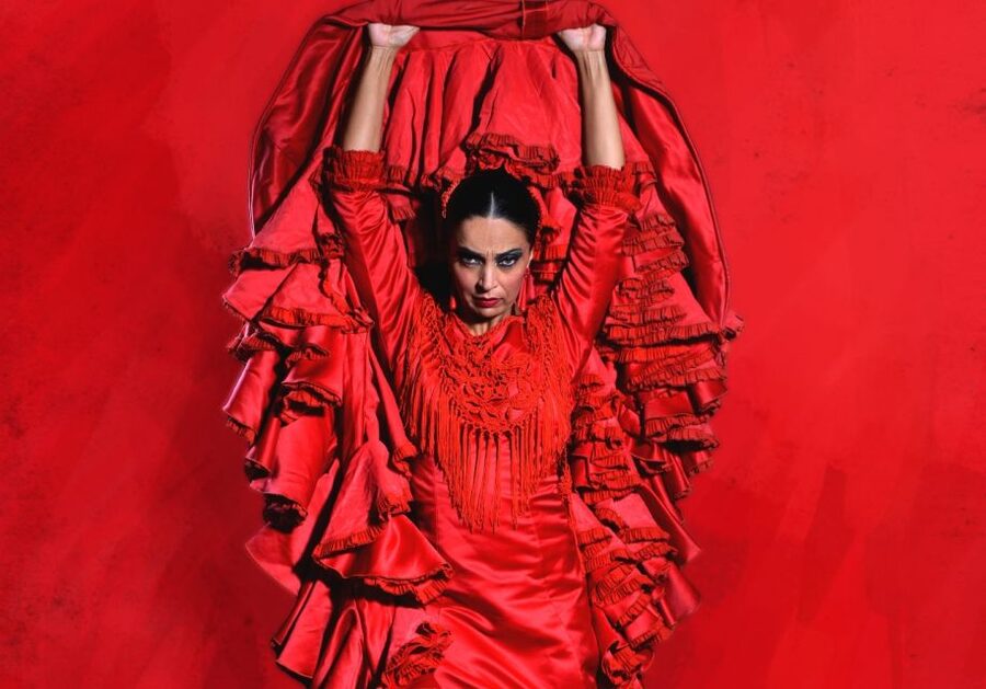 Madrid: "Emociones" Live Flamenco Performance - The Staff and Service: Helpful, Quick, Mostly Unfussy