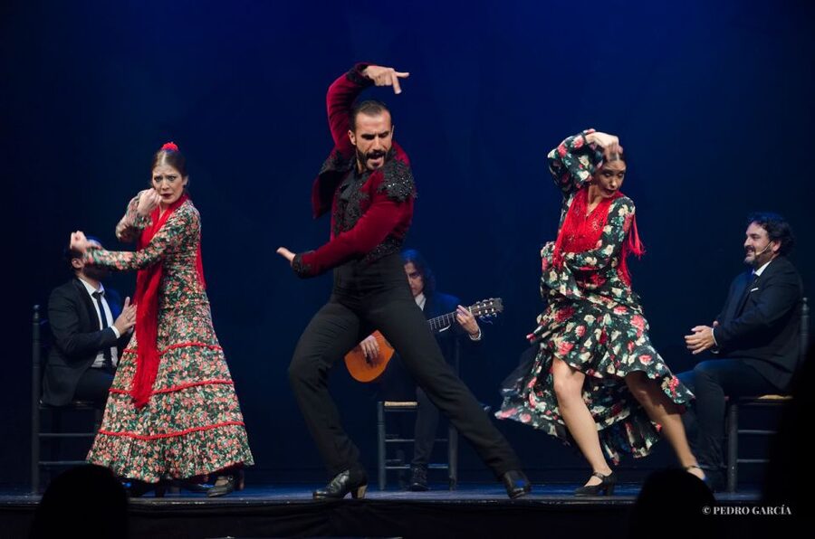 Madrid: "Emociones" Live Flamenco Performance - Price: Is $34 Good Value for a Madrid Flamenco Show?