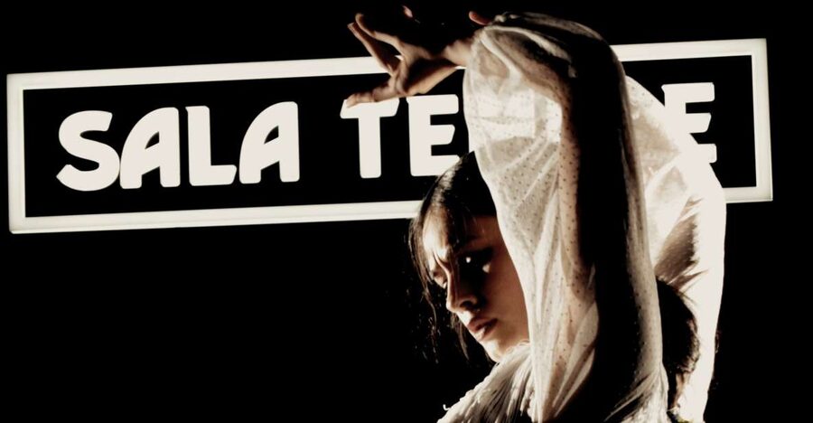 Madrid: Flamenco Show at Tablao Sala Temple with Drink - Key things that make this flamenco show worth your evening
