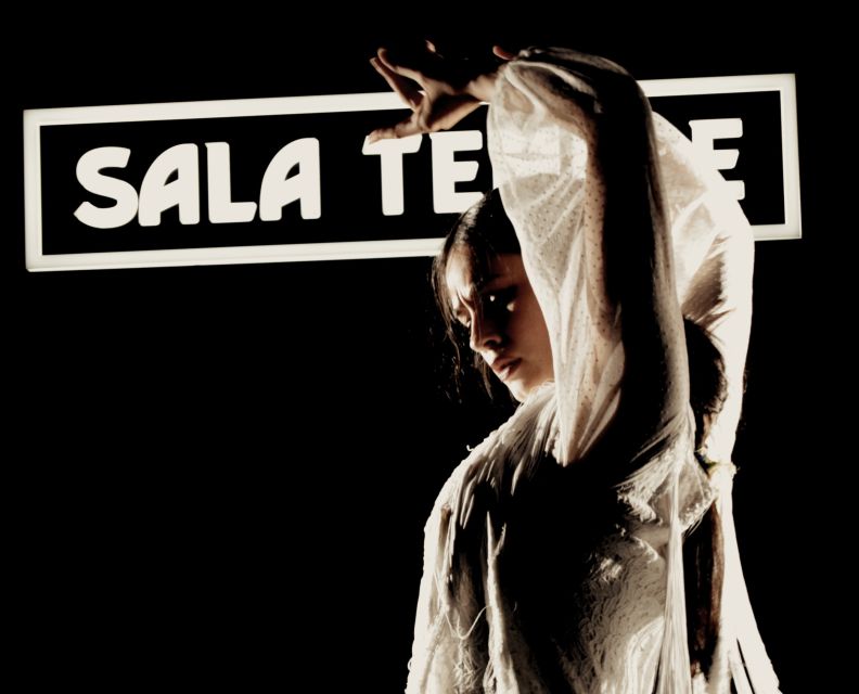 Madrid: Flamenco Show at Tablao Sala Temple with Drink - Price value: why $29 can feel like a steal for Madrid flamenco