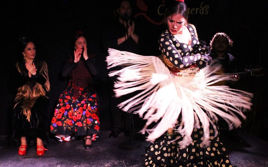 Madrid: Flamenco Show with Tapas and Wine Tour - A half-day Madrid double feature, tapas first, flamenco second